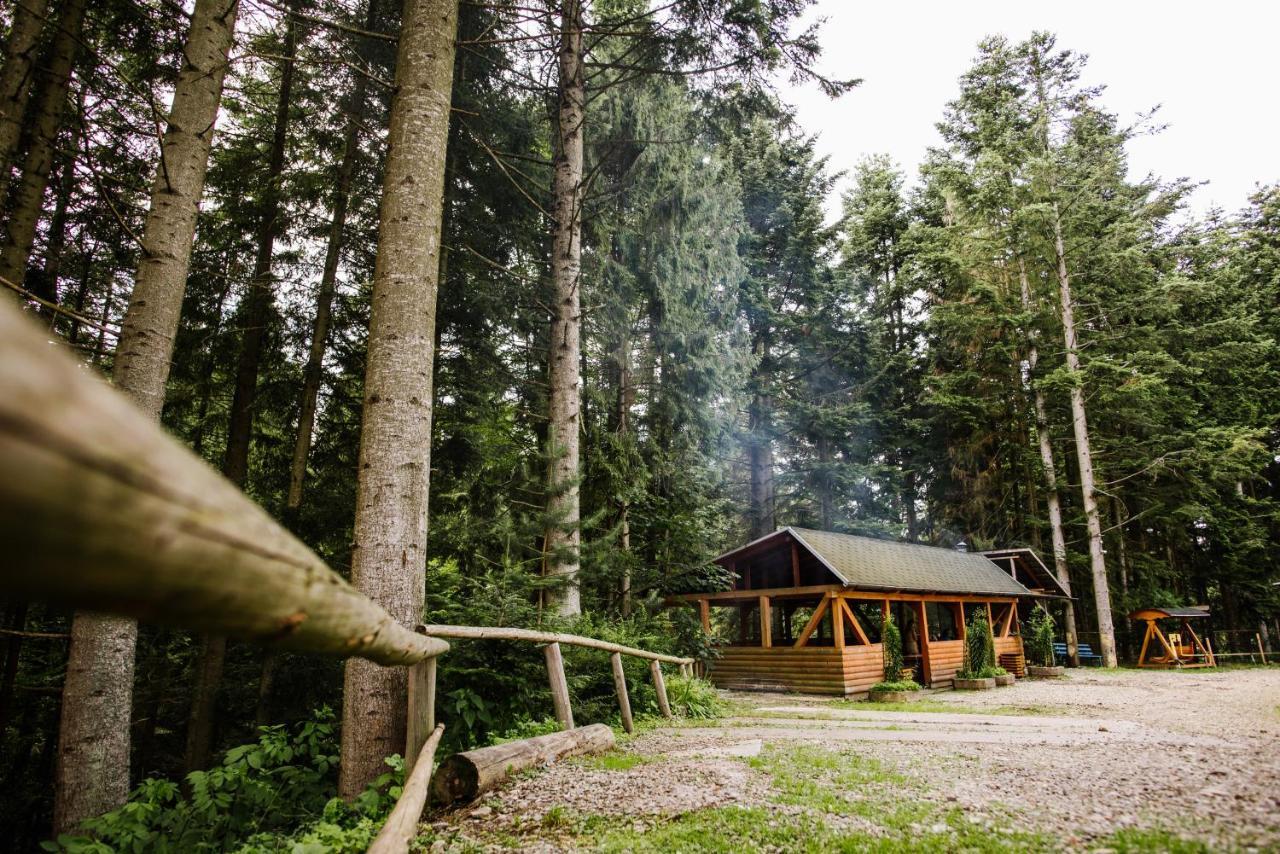 Hotel Zelenyy Bir Skhidnytsia Exterior foto